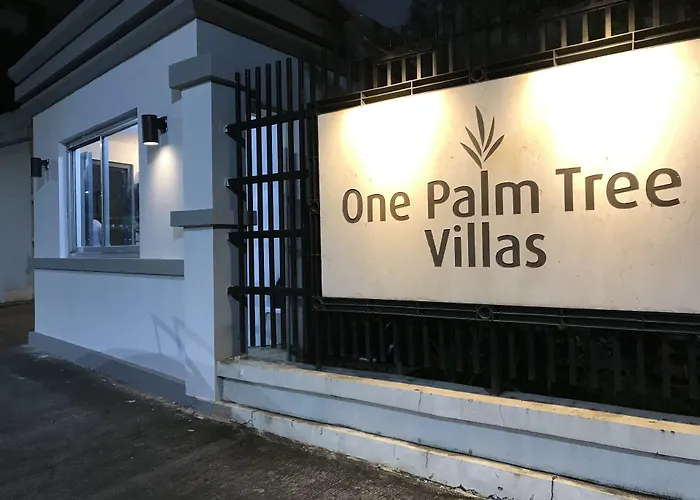 One Palm Tree Across Naia-t3 * 马尼拉