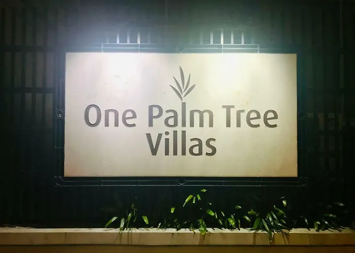 One Palm Tree Across Naia-t3 *